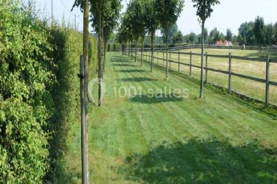 Location salle Celles (Hainaut) - Ferme d'Ecavée #14