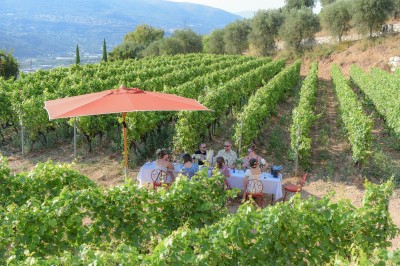 Un groupe de personnes discute au milieu d'un vignoble verdoyant par une journée ensoleillée.