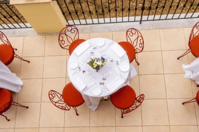 Un groupe de personnes discute au milieu d'un vignoble verdoyant par une journée ensoleillée.