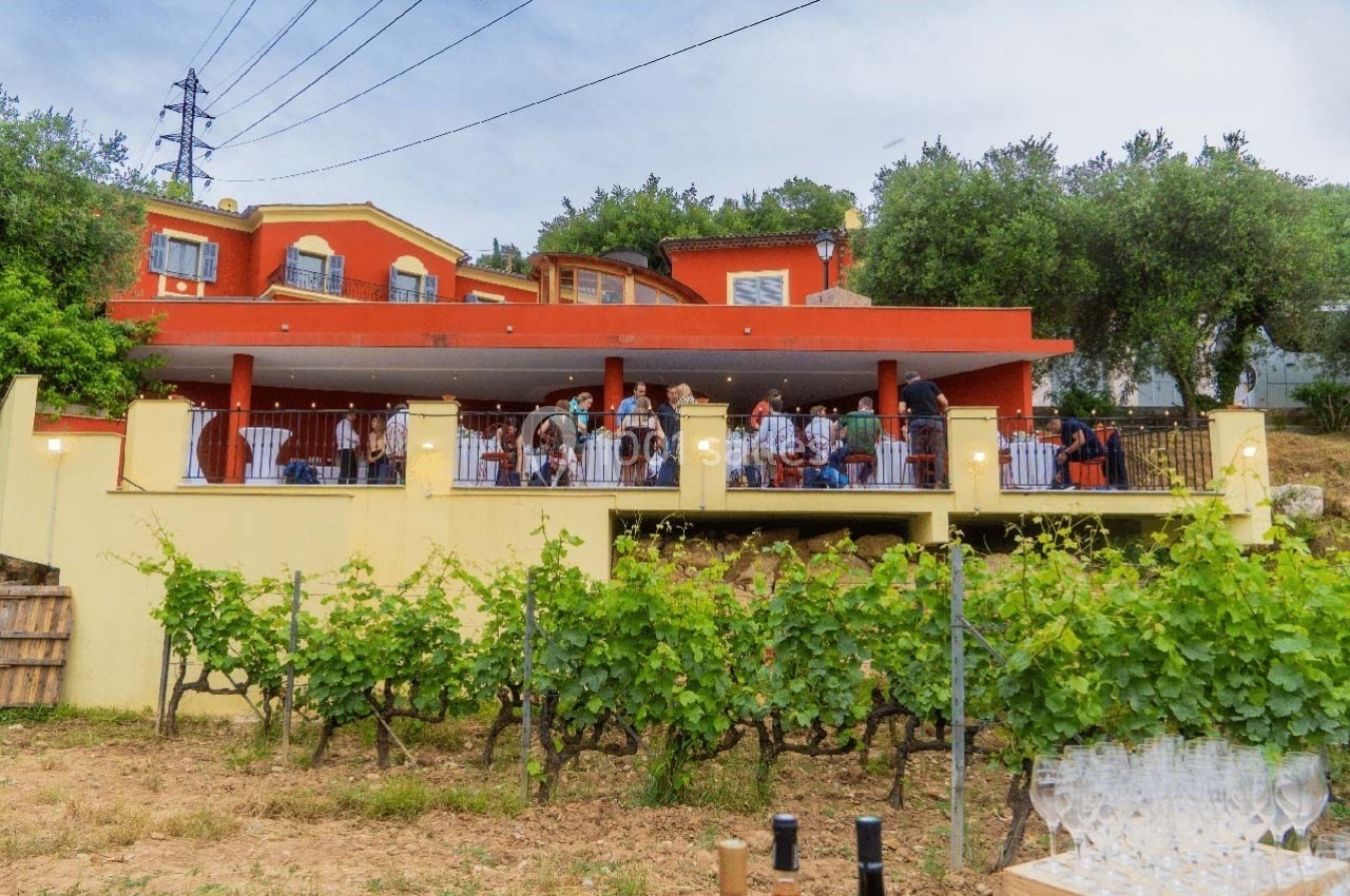 Terrasse d'une maison colorée avec des invités, entourée de vignes et d'arbres sous un ciel légèrement nuageux.
