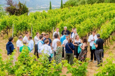 Un groupe de personnes discute au milieu d'un vignoble verdoyant par une journée ensoleillée.