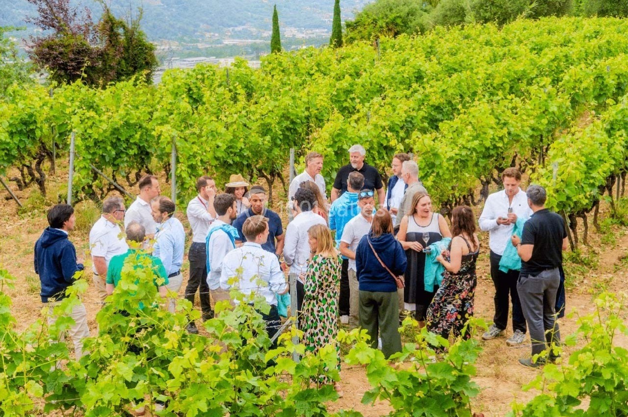Un groupe de personnes discute au milieu d'un vignoble verdoyant par une journée ensoleillée.