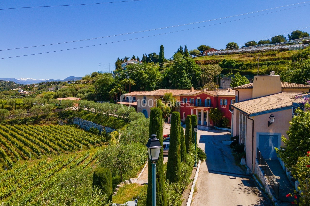 Vue d'un domaine viticole avec bâtiments colorés entourés de vignes et de cyprès sous un ciel dégagé.