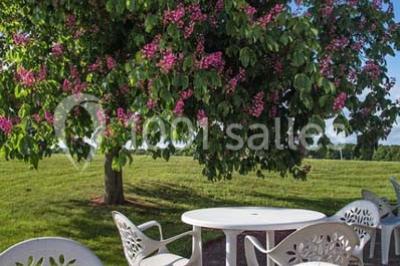 Location salle Saint-Marcel (Eure) - Hôtel Restaurant Mont Vernon #30