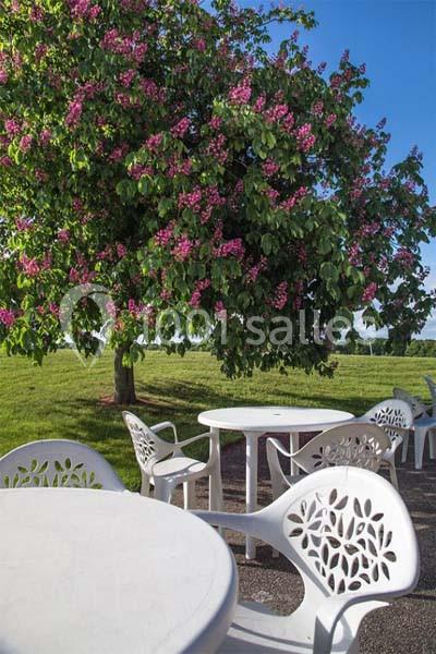 Location salle Saint-Marcel (Eure) - Hôtel Restaurant Mont Vernon #30