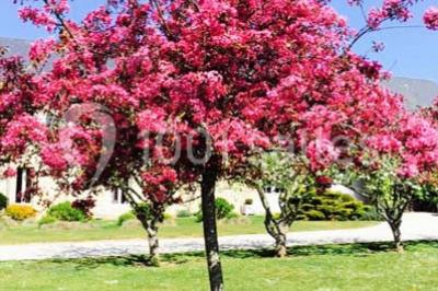 Miniature Location salle Espins (Calvados) - La Grange d'Espins #22 Location salle Espins (Calvados) - La Grange d'Espins #23