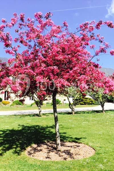 Location salle Espins (Calvados) - La Grange d'Espins #22