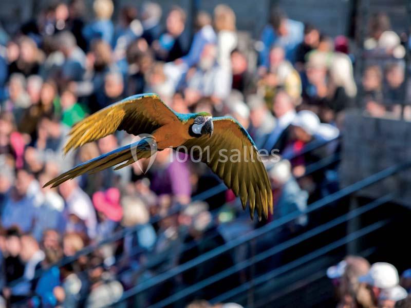 Location salle Villars-les-Dombes (Ain) - Le Parc Des Oiseaux #9 Location salle Villars-les-Dombes (Ain) - Le Parc Des Oiseaux #9