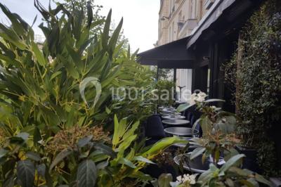 Assiettes individuelles de poisson sur sauce rouge, garnies de coriandre et de croûtons, servies sur un plateau.