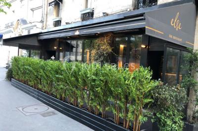 Assiettes individuelles de poisson sur sauce rouge, garnies de coriandre et de croûtons, servies sur un plateau.
