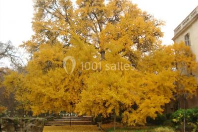 Location salle Saint-Michel-sur-Loire (Indre-et-Loire) - Château De Planchoury #21