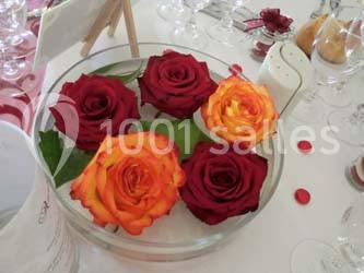 Location salle Saint-Michel-sur-Loire (Indre-et-Loire) - Château De Planchoury #21