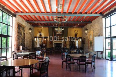 Location salle Migné (Indre) - Domaine de Tranchemule #13