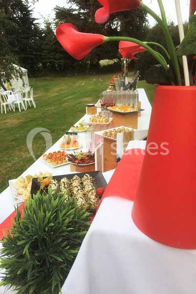 Location salle Audierne (Finistère) - Manoir de Menez Bras #20 Buffet en plein air avec plats variés, boissons et décorations colorées sur une longue table blanche.