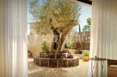 Location salle Saint-Laurent-de-la-Cabrerisse (Aude) - Les Jardins de Saint Benoit #18