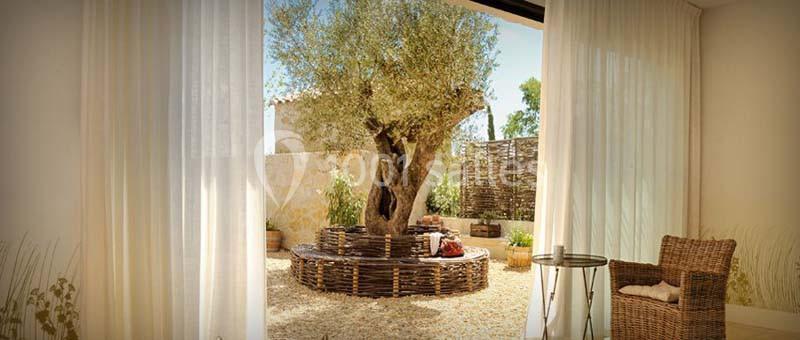 Location salle Saint-Laurent-de-la-Cabrerisse (Aude) - Les Jardins de Saint Benoit #3