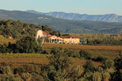 Location salle Camélas (Pyrénées-Orientales) - Domaine Bellavista #13
