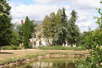 Location salle Parigné-l'Évêque (Sarthe) - Château de la Vaudère #34