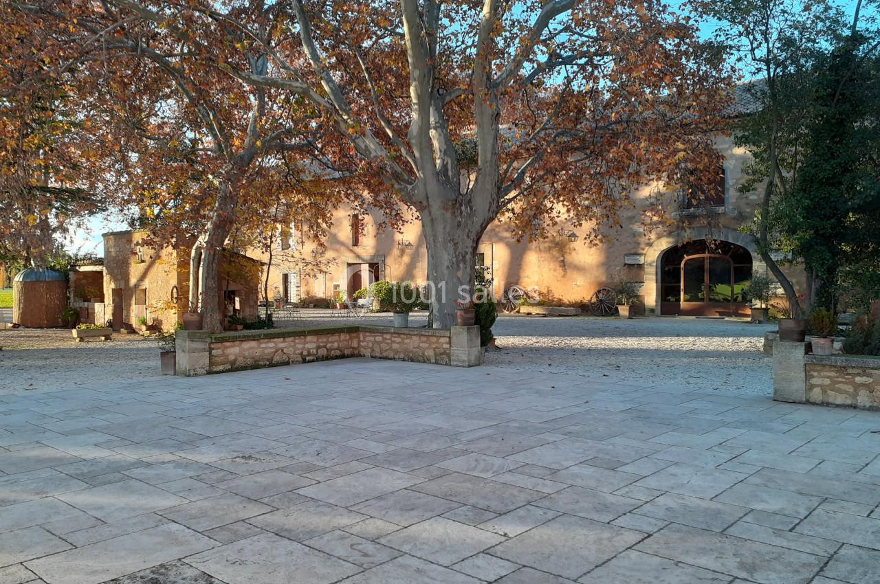 Cour pavée avec un grand arbre aux feuilles d'automne, entourée de bâtiments en pierre sous une lumière douce.