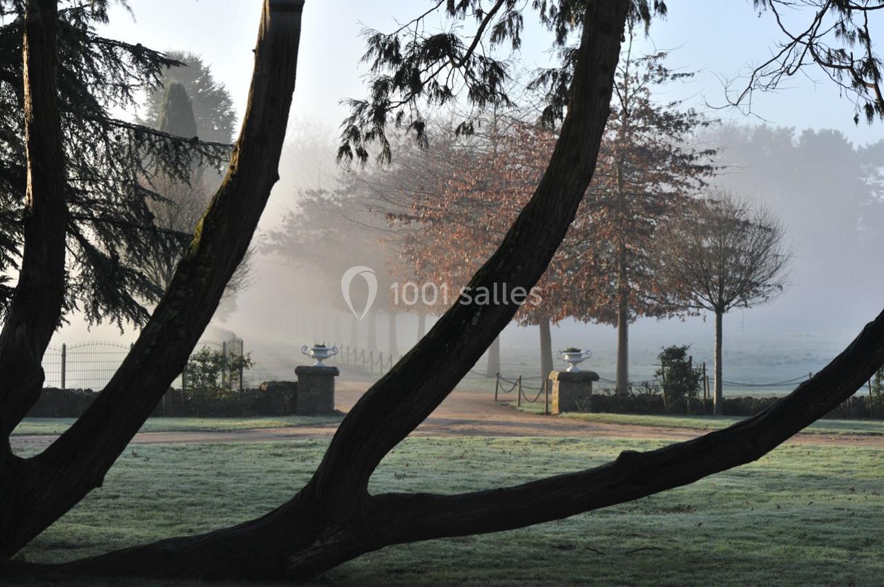 Allée bordée d'arbres dans un parc, avec brume matinale et pelouse givrée au premier plan.