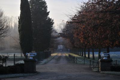 Deux jardinières sculptées sur un muret en pierre, entourées de végétation, avec une petite barrière en bois.