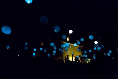 Deux jardinières sculptées sur un muret en pierre, entourées de végétation, avec une petite barrière en bois.