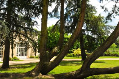 Deux jardinières sculptées sur un muret en pierre, entourées de végétation, avec une petite barrière en bois.