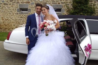 Des chèvres broutent de l'herbe dans un pré verdoyant, entourées d'arbres et d'une clôture en arrière-plan.
