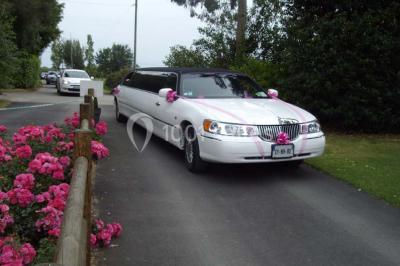 Des chèvres broutent de l'herbe dans un pré verdoyant, entourées d'arbres et d'une clôture en arrière-plan.