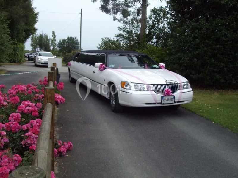 Limousine blanche décorée de rubans roses, stationnée sur une allée bordée de fleurs et de verdure.