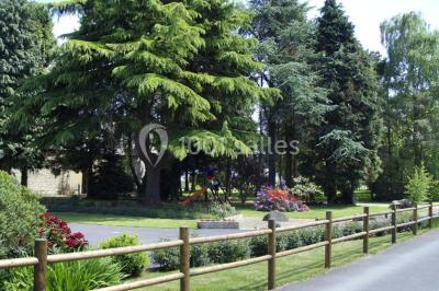 Des chèvres broutent de l'herbe dans un pré verdoyant, entourées d'arbres et d'une clôture en arrière-plan.