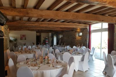 Des chèvres broutent de l'herbe dans un pré verdoyant, entourées d'arbres et d'une clôture en arrière-plan.