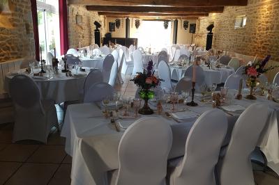 Des chèvres broutent de l'herbe dans un pré verdoyant, entourées d'arbres et d'une clôture en arrière-plan.