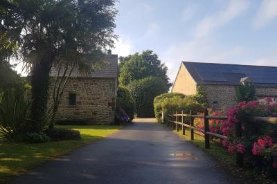 Des chèvres broutent de l'herbe dans un pré verdoyant, entourées d'arbres et d'une clôture en arrière-plan.