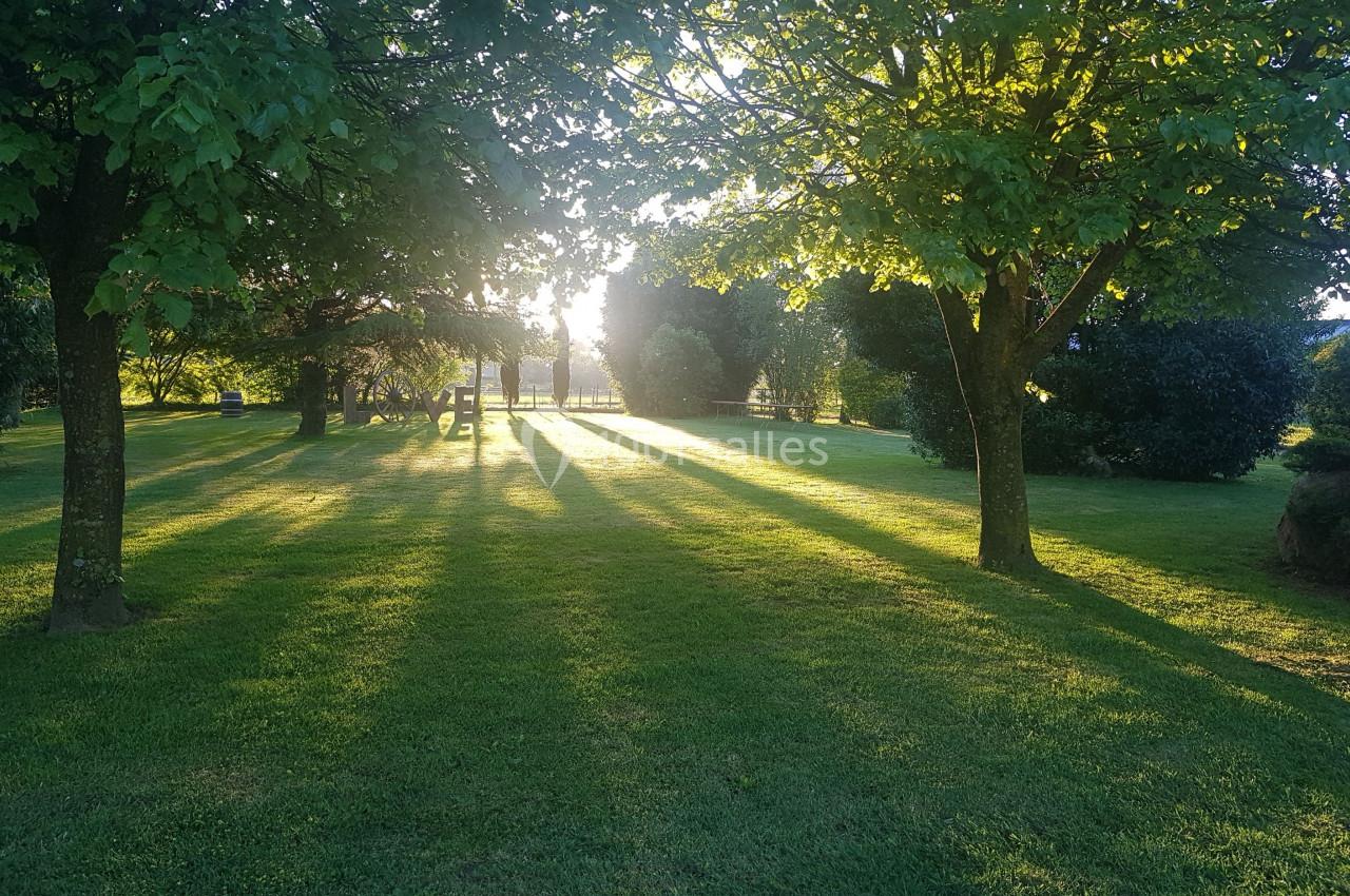 Pelouse verdoyante éclairée par le soleil couchant, avec des arbres projetant de longues ombres.