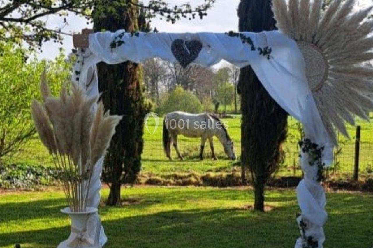 Arche décorée de tissu blanc, pampas et feuillage, avec un cheval broutant dans un champ en arrière-plan.