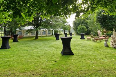 Des chèvres broutent de l'herbe dans un pré verdoyant, entourées d'arbres et d'une clôture en arrière-plan.