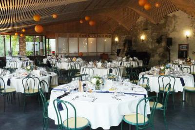 Location salle Saint-Vincent-de-Mercuze (Isère) - Chateau du Montalieu #18