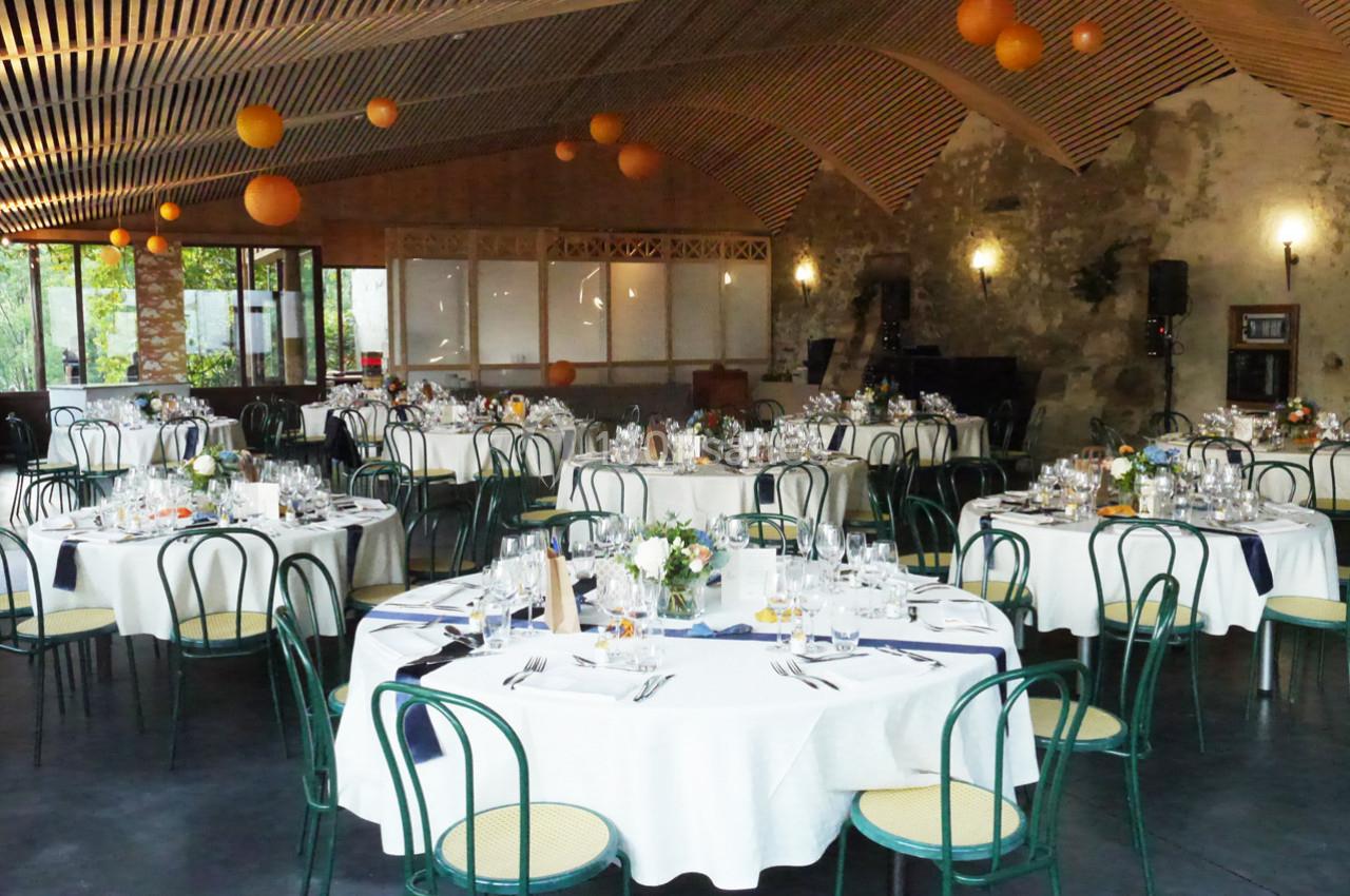 Location salle Saint-Vincent-de-Mercuze (Isère) - Chateau du Montalieu #5