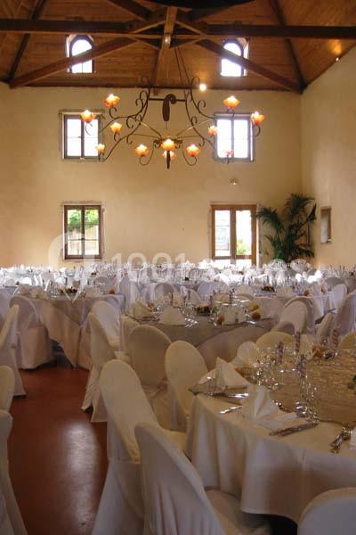 Location salle Saint-Jean-d'Ardières (Rhône) - Château De La Plume #7