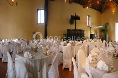 Location salle Saint-Jean-d'Ardières (Rhône) - Château De La Plume #21