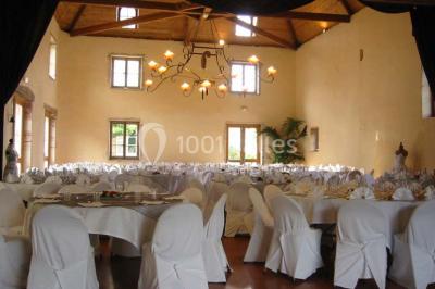 Location salle Saint-Jean-d'Ardières (Rhône) - Château De La Plume #21