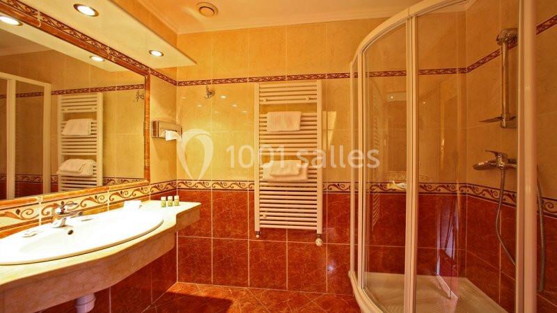 Location salle Lourdes (Hautes-Pyrénées) - Best Western Beauséjour #23