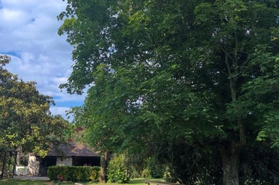 Grande table dressée avec nappes blanches, serviettes rouges, verres et couverts, décorée de bougies et fleurs au centre.