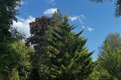 Grande table dressée avec nappes blanches, serviettes rouges, verres et couverts, décorée de bougies et fleurs au centre.