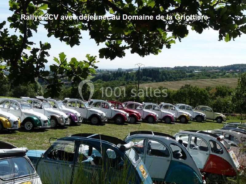 Rassemblement de plusieurs voitures Citroën 2CV colorées dans un champ avec un paysage vallonné en arrière-plan.