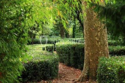 Location salle Taradeau (Var) - Château De Saint Martin #23