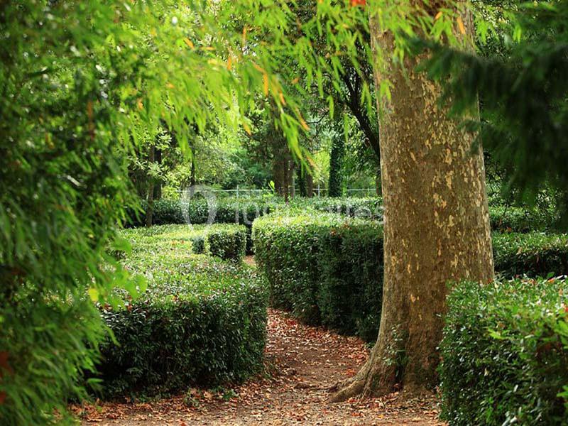 Location salle Taradeau (Var) - Château De Saint Martin #4