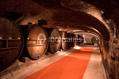 Location salle Taradeau (Var) - Château De Saint Martin #23