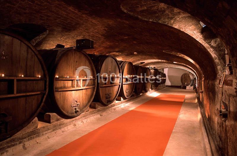 Location salle Taradeau (Var) - Château De Saint Martin #7